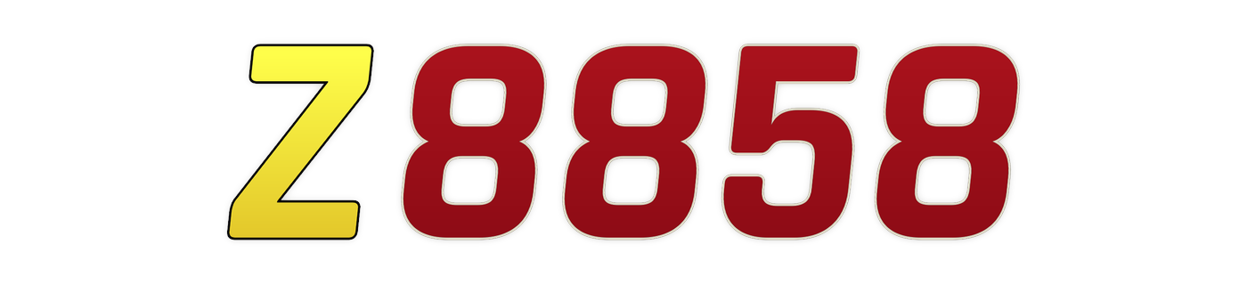 z8858
